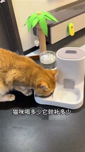 Introducing the Ultimate Automatic Pet Feeder