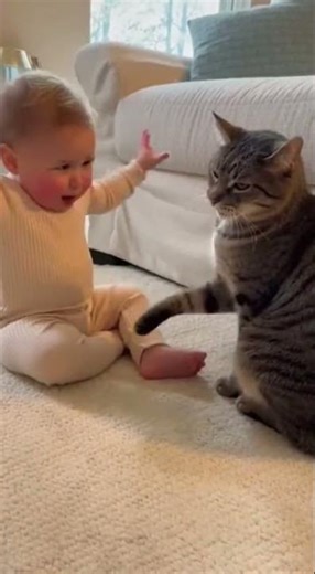 Toddler Scolds Cat: No Scratching the Couch!