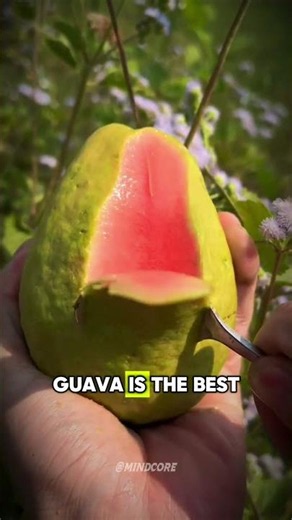 These tropical fruits have crazy hidden benefits 🌴