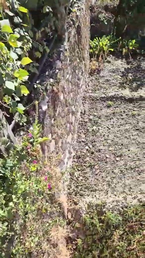 #shorts #short #viral #viralvideos