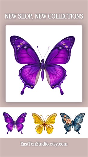 Butterfly clipart for creative projects 🦋 Detailed butterfly clipart designed for prints, designs, and digital use. Instant digital download. #clipart #butterfly #etsyshop #fyp