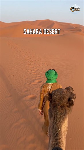 Sahara Desert— one of the most incredible and breathtaking natural wonders on Earth!🌍