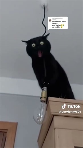 the best voice over that is mind blowing 🤣🤣😄 subscribe to get notified