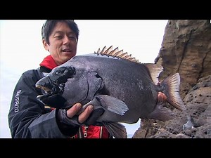 [100 Fishing Scenes] #192 Feeling the fish's heartbeat on the tip of the rod! Fishing for parrotf...