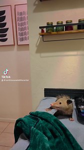 632K views · 25K reactions | Part 1 #ntxwcpearlmae Please note: I am...