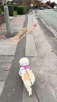 Life in Preston, England | A Peaceful and Friendly City in the North West UK part2 #preston#england