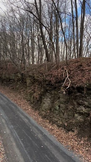 6.5K views · 334 reactions | The largest steam locomotive 1309 operating east of the Mississippi is blowing its horn for all to hear!  #train #trains #reelsfb #reelsinstagram #westernmaryland #steamlocomotive #railroad #rail #railway #engine | Big Trains | Facebook