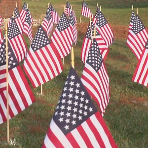 Walnut Grove Elementary School is proud to support the Disabled American Veterans (DAV) Field of Flags fundraiser this Veterans Day. Families and staff are invited to sponsor an American flag to be displayed on school grounds in honor or memory of a veteran or active-duty service member. Each sponsored flag will help in creating a beautiful and moving display of gratitude from our community. All proceeds benefit the DAV, which provides essential support and services to disabled veterans and thei