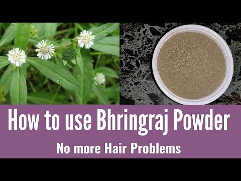 How to use homemade Bhringraj Powder | Bhringraj for all hair problems