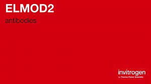 ELMOD2 antibodies from Thermo Fisher Scientific