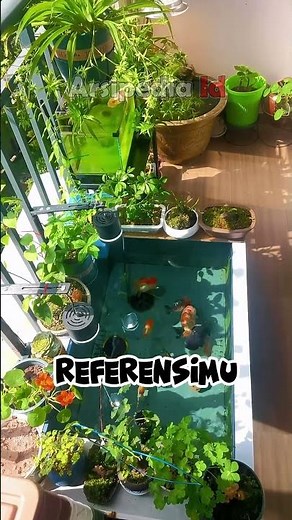 Beautiful mini ornamental fish pond in a small space #freshwaterornamentalfish #fish