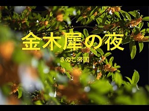 金木犀の夜【カラオケ】【ガイドメロディなし】