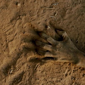 160 reactions · 105 shares | Shudder UK on Reels | Facebook