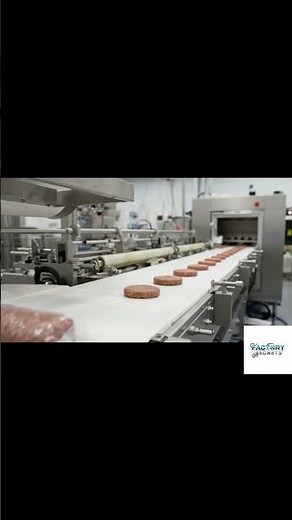 Plant Based Meat Production Process Part 22