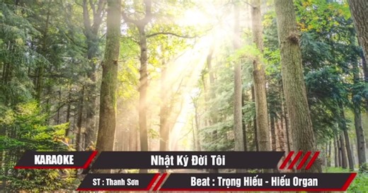 Nhật ký đời tôi #karaoke #dammecahat #nhachaymoingay #nhacbolero #xuhuongtiktok