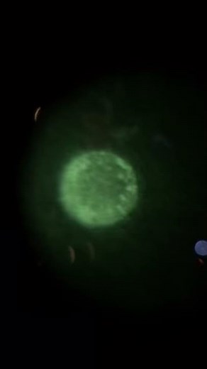 Bresser Night Spy 2X24