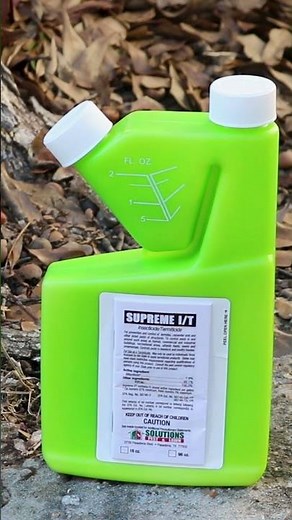 The Quick Guide to Caddisflies! [DIY Pest Control]