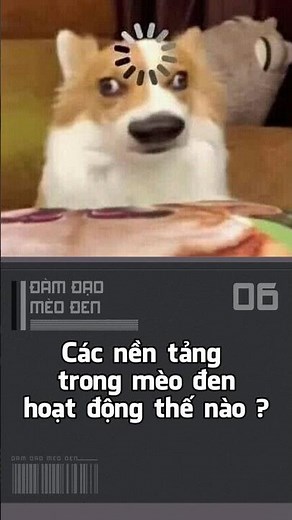 các nền tảng mèo đen hoạt động thế nào ?