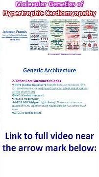 Molecular Genetics of Hypertrophic Cardiomyopathy