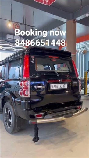 car PPF or danting, panting, ceramic and all type accessories our service's