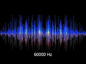 Test your hearing 60000 Hz whistle