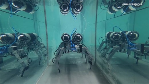 CrabLine Robotics' innovative crab-like robots gain attention at CES: Mission Possible