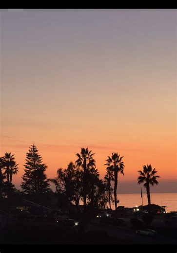 Emotional Moments in Zootopia 2 That Touch the Heart