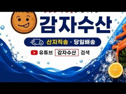 키로급 홍게.조개.대게,피무너판매.감자수산