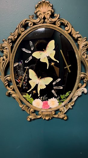 I’ve had a lot of requests for Lunas lately so here’s a double Luna Moth piece in a vintage frame surrounded by black velvet, bronze swords & stars, quartz points, and genuine florals. 🌸✨🌸✨🌸 | The Blue Morpho Curio Co