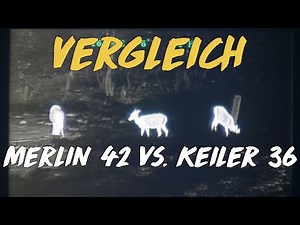 Vergleich: Liemke Merlin 42 mit Keiler 36 Pro