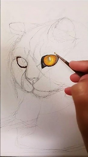 From Sketch to Soulful Stare: This Video Shows How to Paint Realistic Cat Eye Painting in Acrylic