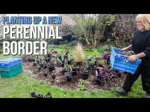 Planting Up a New Perennial Border in Red