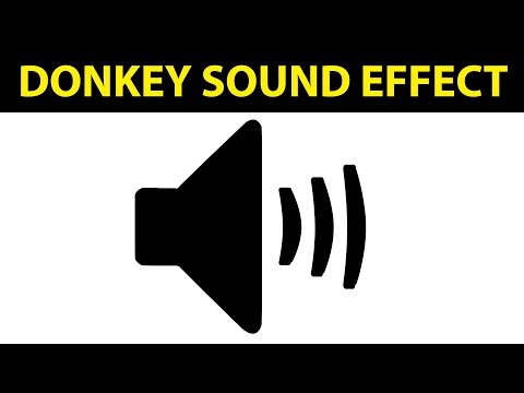 Donkey Sound Effect ~ Donkey Neigh Sound Pack in High Quality by Just Sound FX