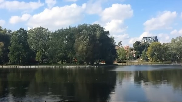 Groom jumps into river, the bride is in tears when she knows the reason behind it
