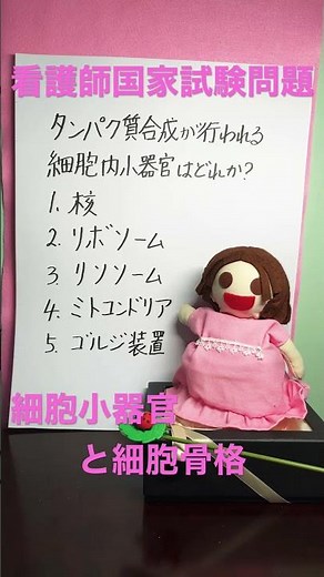 細胞の構造 細胞小器官と細胞骨格