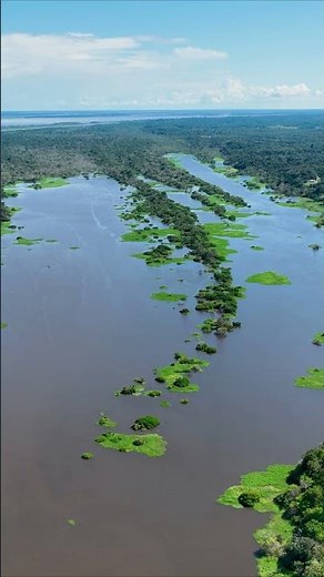 Amazonas-Regenwald aus der Vogelperspektive. Drohnenvideo in 4k