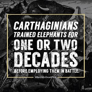 Elephants were deeply rooted in Carthaginian culture and were incredible assets in battle. See how Hannibal used them to cross the Alps: to.pbs.org/2qmqik2 | Secrets of the Dead