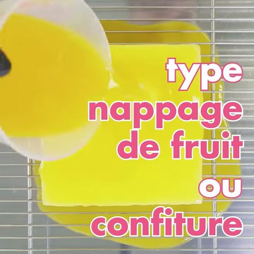 La Pectine NH | Les Pépites de Sosa