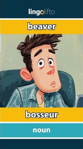 🇬🇧🇫🇷 beaver - bosseur : learn English : apprenons l'anglais : vocabulary builder