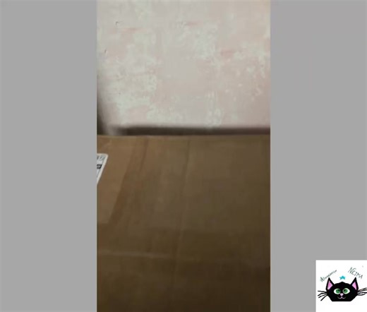 Un grand merci à Karine 💞, Isabelle 💞 et Mélissa 💞 qui ont chacune commandé un arbre à chat pour nos minous 😻😻😻 Phèdre inspecte les cartons 🤣🤣🤣 Et merci de façon générale à tous ceux qui aident nos chats 🐈 💓 Nounou Gréco Romaine 8000 EUROS DE DETTE VETO 🚨 🚨 🚨 🚨 🚨 ⬇️⬇️⬇️⬇️⬇️⬇️ 🆘https://www.leetchi.com/fr/c/dette-5000-euros-urgent-9652652?fbclid=IwdGRjcANZ60ZjbGNrA1nrN2V4dG4DYWVtAjExAAEexONJwyBKacwrrN8nlPbGrgAJtgd_y9v_6uEImpSSq9VlvrJrdyeVcYNqdVE_aem_Avpar_KVdhl_9uwMxrWMaQ 🆘 Paypa