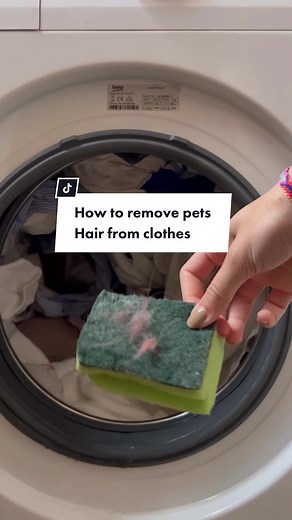 Giulia Cence on TikTok