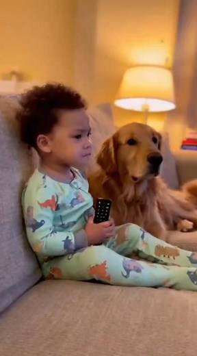 Baby 🍼 argue with dog 🐶 for tv remote 📺 #baby #dog #argue #babiesoftiktok #remote | Animal Discovery08