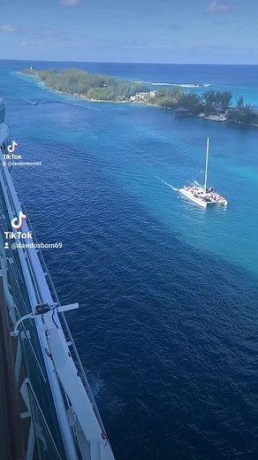 Paradise | David Osborn