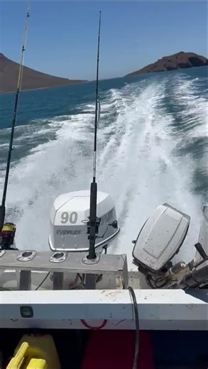 EVINRUDE 90 HP 2 TIEPOS