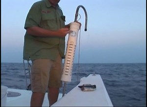 Pro Tip Chumming The Easy Way