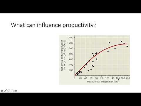 Factors Controlling Primary Productivity