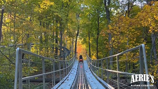 Here's a glimpse of what it's like riding the all-new Aerie's Alpine Coaster down the beautiful fall bluffs of Grafton, IL! We're open from 12pm-5pm daily!🍁🎢 #graftonil #coaster #fall #midwest #RiversAndRoutes #local #thingstodo | Aerie's Resort & Winery