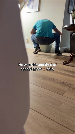 Effortless Cat Care with an Automatic Litter Box