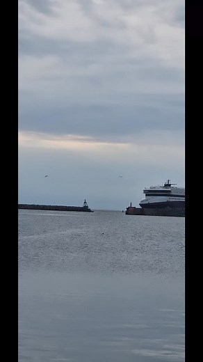 43 reactions · 9 comments | Color Line Hirtshals Camping #TruckDrivers #TruckLife #Trucking #Trucker #TruckersLife #TruckingLife #LongHaulTrucking #BigRig #TruckerLifestyle #OnTheRoad | Marian Chirica | Facebook