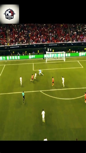 Korea's Hwang beautiful goal vs Czech republic